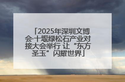 2025年深圳文博会·十堰绿松石产业对接大会举行 让“东方圣玉”闪耀世界