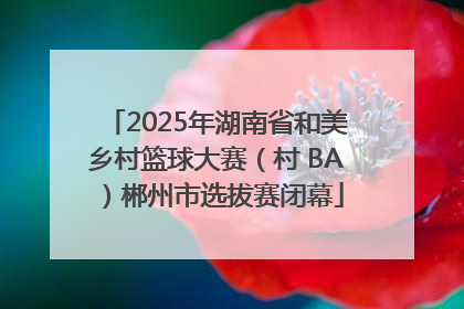 2025年湖南省和美乡村篮球大赛（村 BA）郴州市选拔赛闭幕