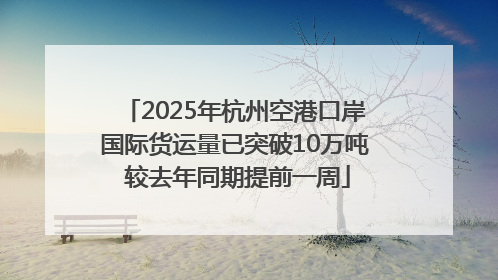 2025年杭州空港口岸国际货运量已突破10万吨 较去年同期提前一周