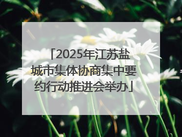 2025年江苏盐城市集体协商集中要约行动推进会举办