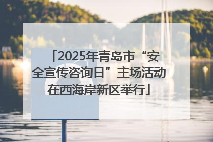 2025年青岛市“安全宣传咨询日”主场活动在西海岸新区举行