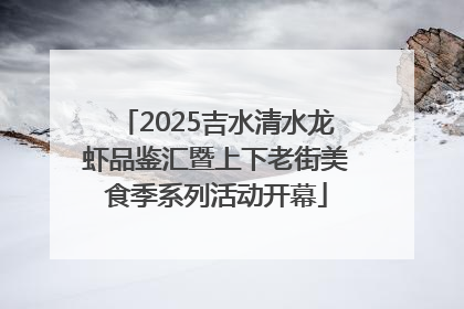 2025吉水清水龙虾品鉴汇暨上下老街美食季系列活动开幕