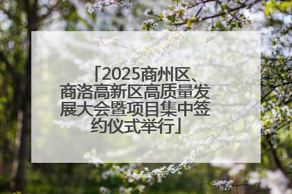 2025商州区、商洛高新区高质量发展大会暨项目集中签约仪式举行