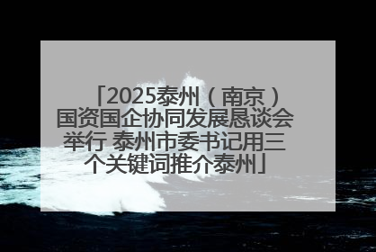 2025泰州(南京)国资国企协同发展恳谈会举行 泰州市委书记用三个关键词推介泰州