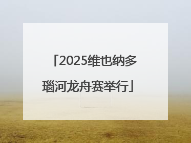 2025维也纳多瑙河龙舟赛举行