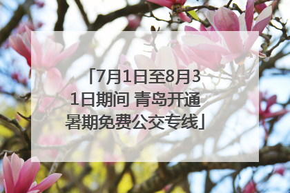 7月1日至8月31日期间 青岛开通暑期免费公交专线
