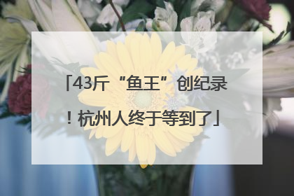 43斤“鱼王”创纪录！杭州人终于等到了