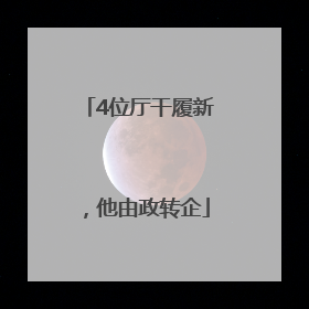 4位厅干履新，他由政转企