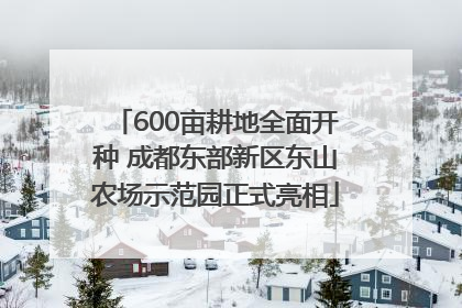 600亩耕地全面开种 成都东部新区东山农场示范园正式亮相