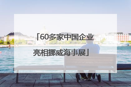 60多家中国企业亮相挪威海事展
