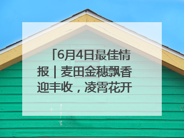 6月4日最佳情报｜麦田金穗飘香迎丰收，凌霄花开娇艳多姿！恭喜