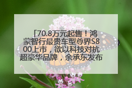 70.8万元起售！鸿蒙智行最贵车型尊界S800上市，欲以科技对抗超豪华品牌，余承东发布会未提及迈巴赫