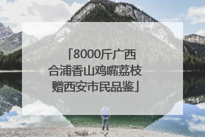 8000斤广西合浦香山鸡嘴荔枝赠西安市民品鉴