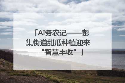 AI务农记——彭集街道甜瓜种植迎来“智慧丰收”