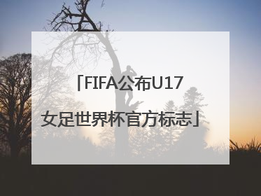 FIFA公布U17女足世界杯官方标志