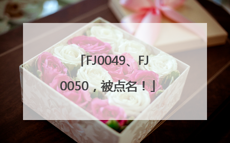 FJ0049、FJ0050，被点名！