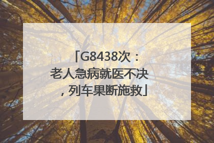 G8438次：老人急病就医不决，列车果断施救