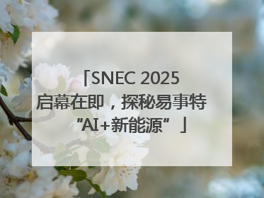 SNEC 2025启幕在即，探秘易事特“AI+新能源”